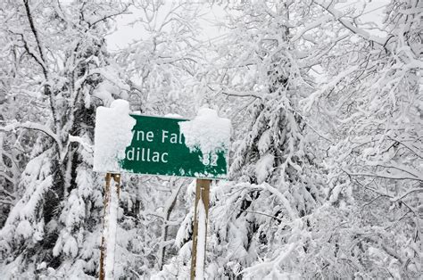 In the Pines: Northern Michigan Snow Storm