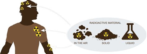 Contamination - Definition and Examples - Biology Online Dictionary