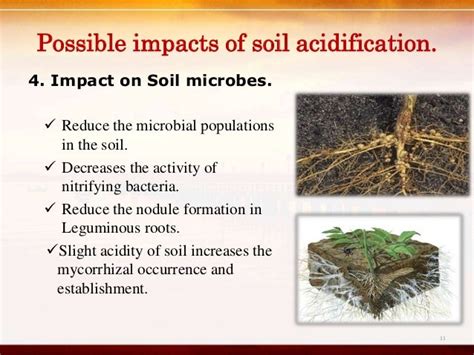 Impacts of soil acidity in wet zone Sri Lanka