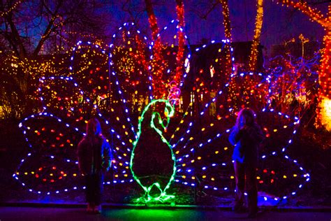 Indianapolis Zoo Presents Christmas at the Zoo! • Oak Island Creative ...