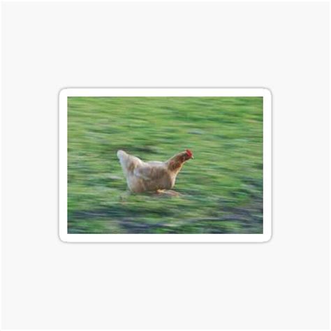 "running chicken meme, funny running chicken meme, gtg" Sticker for Sale by HaveS0meFun | Redbubble