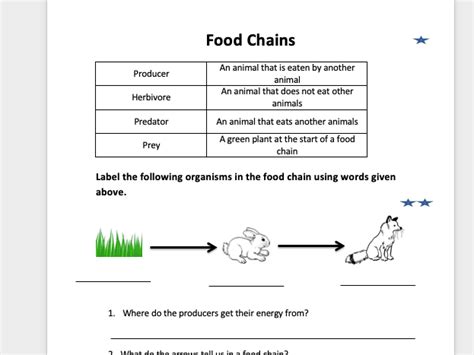 Primary Food Chain Worksheet | Teaching Resources