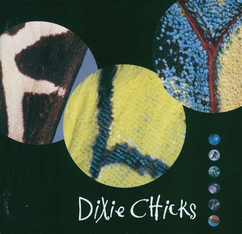 The Chicks Songs - A List of 12 of The Best | Holler