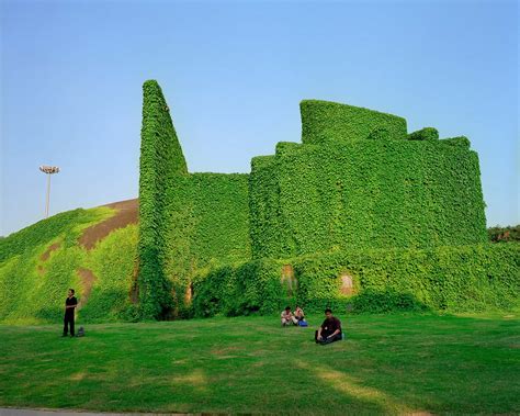 Dustin Shum asks the question: What are the consequences of man-made landscapes? | World ...