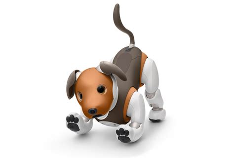 Sony Upgrading Aibo With New Home Security Features, API Access - IEEE ...