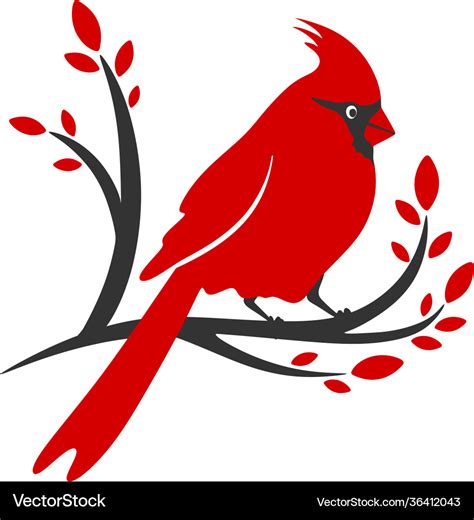 Cardinal bird Royalty Free Vector Image - VectorStock