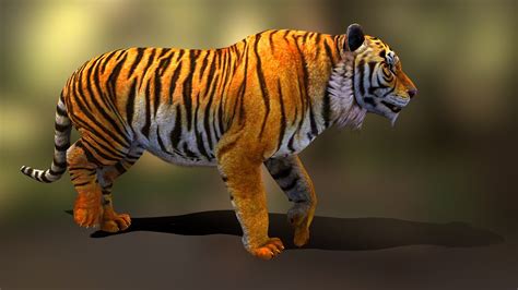 tiger walk v02 - 3D model by Unity (shehab house) (@shahabahmed) [733afd8] - Sketchfab