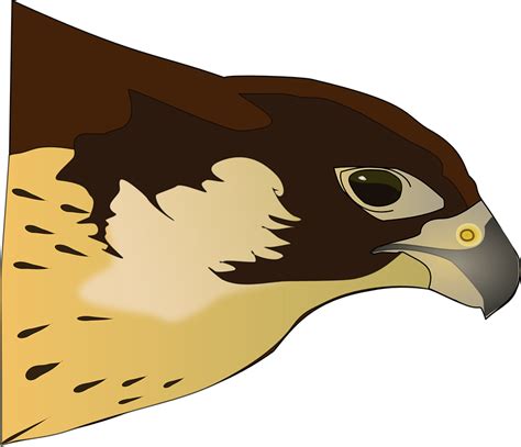 Free Raptor Bird Cliparts, Download Free Raptor Bird Cliparts png images, Free ClipArts on ...