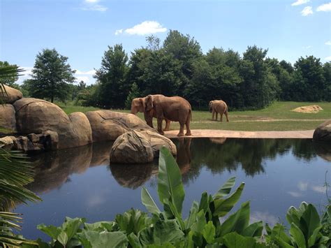 All This and That Too: North Carolina Zoo - Asheboro, NC