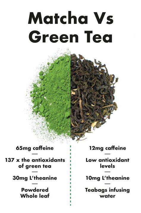 Is Matcha Powder Better Than Green Tea - Nice Pic