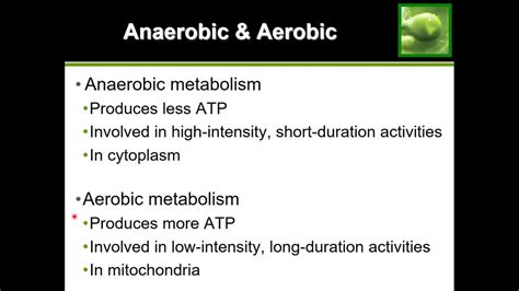 Anaerobic Metabolism Vs Aerobic Metabolism