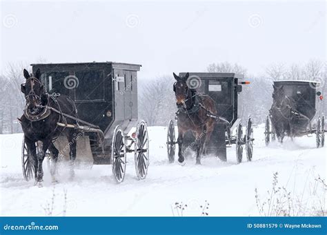 Amish Horse And Buggy Stock Photo | CartoonDealer.com #59096706