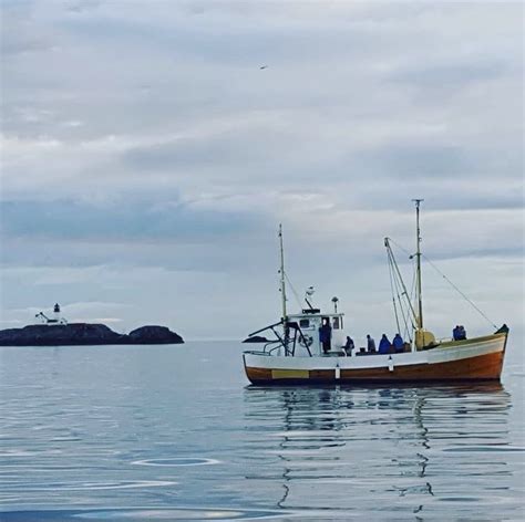 Lofoten fishing - Catch the cod during the winter | Northadviser