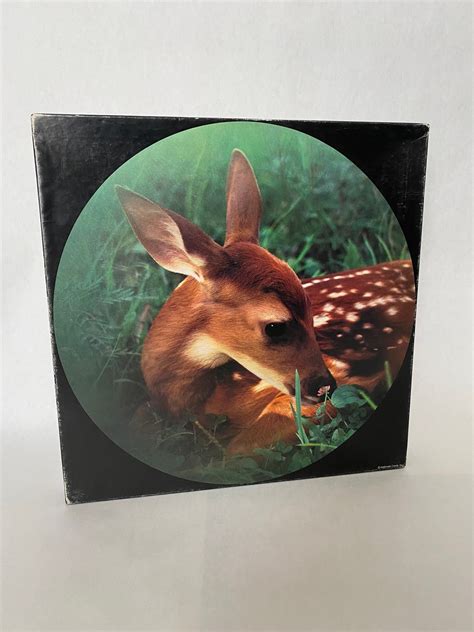 Vintage Springbok Circular 500 Piece Jigsaw Puzzle the - Etsy