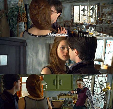 Harry & Ginny - Harry Potter Fan Art (17326732) - Fanpop