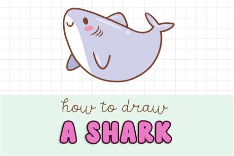 How To Draw Cute Shark