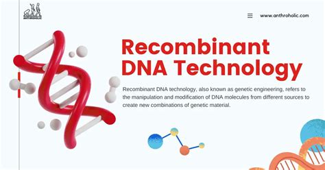 Recombinant DNA Technology (Genetic Engineering) | Anthroholic