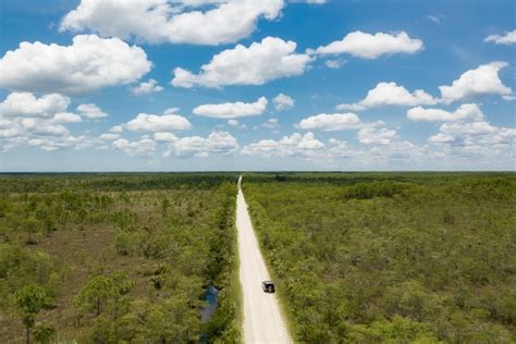 Experience The Breathtaking Beauty Of The Florida Everglades On This Unforgettable Scenic Drive