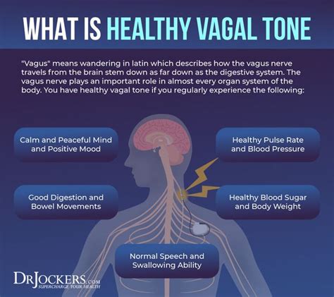 Pin on Vagus nerve/Vasovagal Syncope