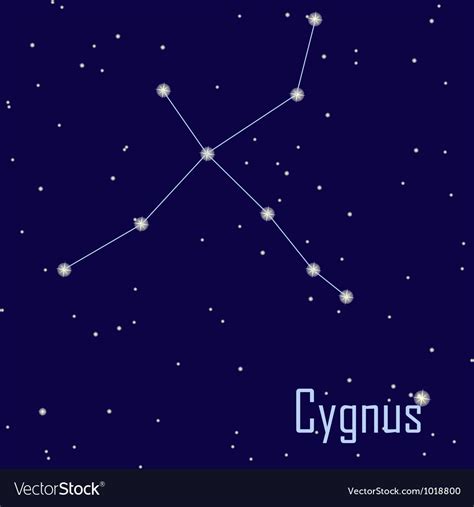 Constellation cygnus star in the night sky Vector Image