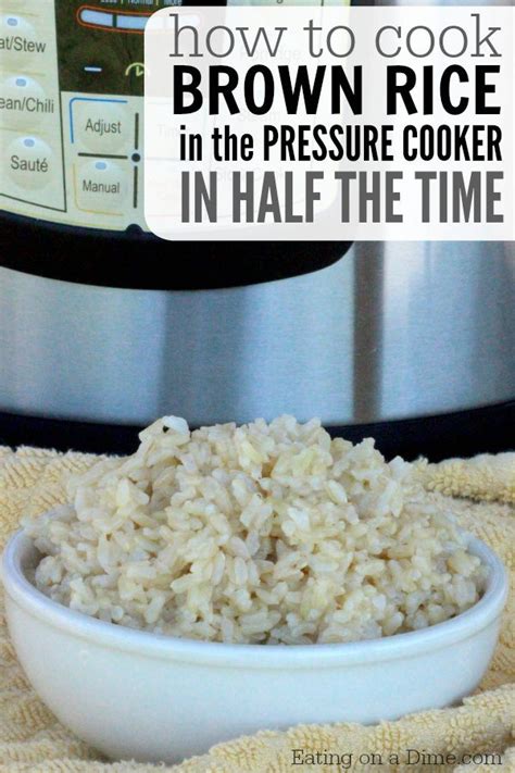 Brown Rice Pressure Cooker Recipe - Eating on a Dime