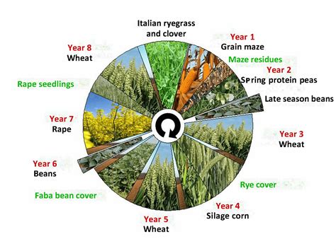 Regenerative agriculture: from the key principles to the practice – Livelihoods Funds