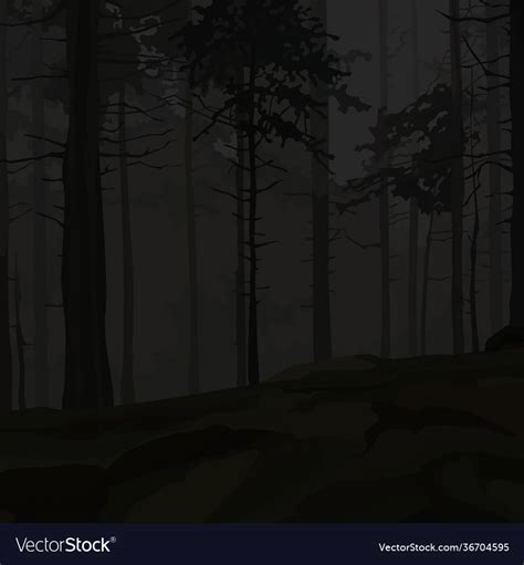 Dark background night forest with pine trees Vector Image