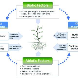 Nutrients Impact Factor