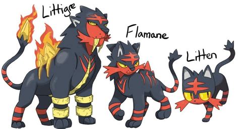 Litten starter evolution concept - by Lupus : pokemon