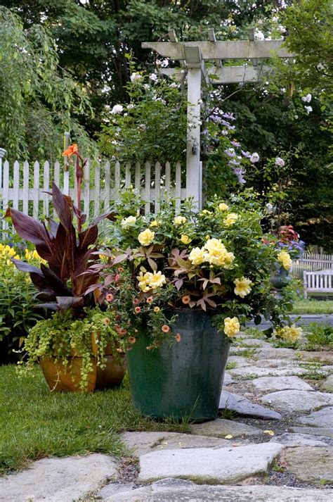 Container Gardening Tips for Your Outdoor Space Photos | Architectural Digest