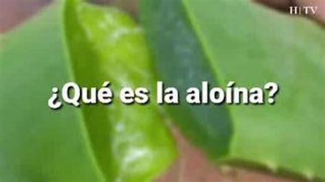 Vídeo: El aloe vera puede provocar alergia