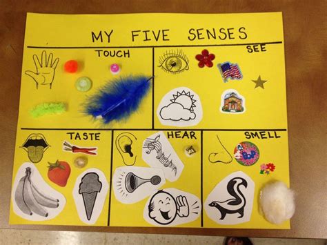 Senses Craft Pinterest Five Crafts preschool senses activities five pinterest Preschool | Five ...