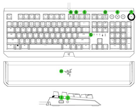 Razer BlackWidow Elite | RZ03-0262x Support & FAQs