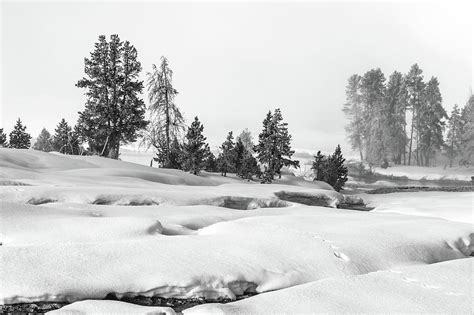 Yellowstone National Park Landscape Photograph by Robert Caddy - Fine Art America