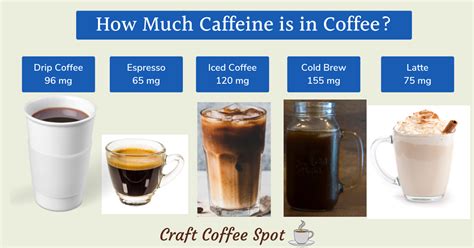 How Much Caffeine Is In Coffee: 14 Drinks Reviewed