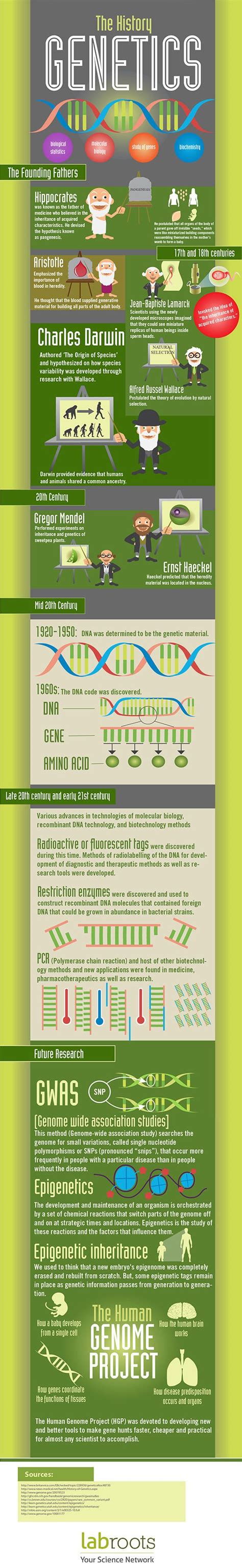 The History Of Genetics [INFOGRAPHIC] #genetic #history | Teaching ...