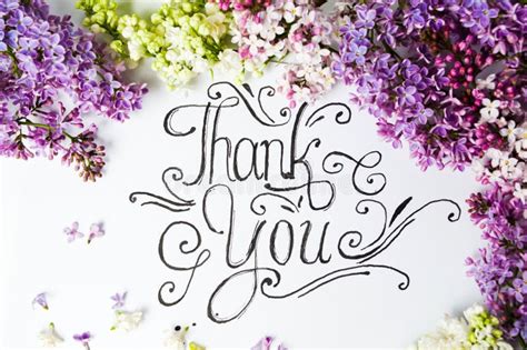 6,737 Thank You Flowers Stock Photos - Free & Royalty-Free Stock Photos from Dreamstime