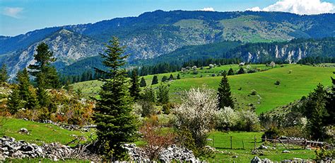 Rhodope Mountains, Bulgaria. Hiking & Trekking Tours. Guided & Self-guided.