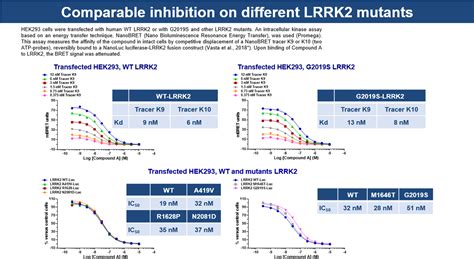 Cell-based assays | Drug Discovery | CRO services