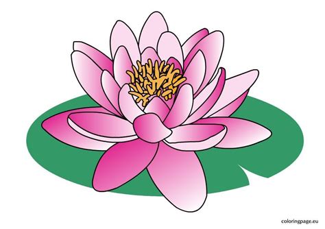 Water lily clipart – Coloring Page