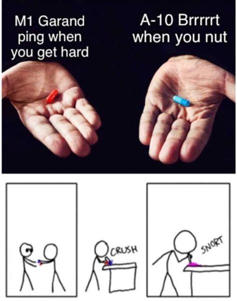 why not both | Snorting the Blue Pill and Red Pill | Know Your Meme