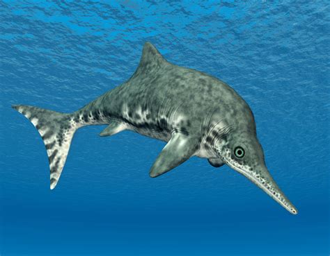 Ancient ichthyosaur died right after devouring large reptile - Earth.com
