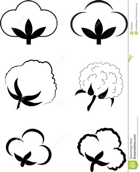 Cotton flower clipart 20 free Cliparts | Download images on Clipground 2024