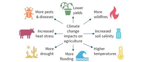 Biotechnology and Climate Change | Home