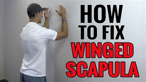 3 Exercises You Can Do To Fix Winged Scapula - YouTube Shoulder Stability Exercises, Shoulder ...