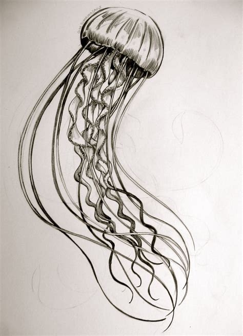 Jellyfish Tattoo Design Idea | Jellyfish tattoo, Jellyfish design ...