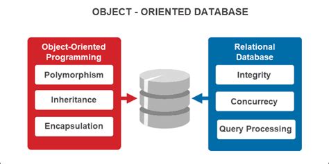 What Is an Object-Oriented Database {Concepts, Examples, Pros and Cons ...