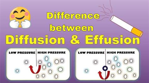 Which Is An Example Of Effusion? All Answers - Barkmanoil.com