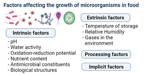 Factors affecting the growth of microorganisms in food