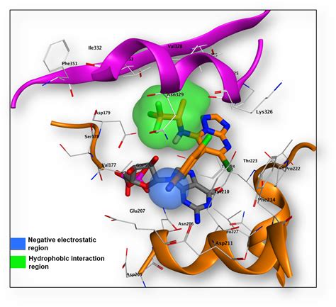 BALLATORE RESEARCH GROUP – Small Molecule Drug Design